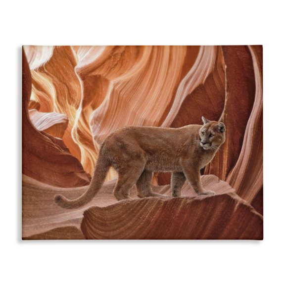 Stupell Industries Rustic Lodge Cougar Canyon View Canvas Art, 20 x 16, by Collin Bogle