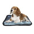 thumbnail image 2 of PKQWTM Unicorn Running Through Crystal Field Pet Dog Cat Bed Pee Pads Mat Cushion Potty Dogsblankets Crate Bed Kennel 36x48 inch, 2 of 3