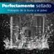 thumbnail image 5 of Binoculares Portátiles Visión Nocturna Hd 20x Con Estuche, 5 of 7