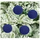 thumbnail image 5 of Fiudx Bolas Navideñas de Terciopelo, Adornos Flocados para Árbol, Fáciles de Colgar, Elegante Decoración Invernal, Versátiles para El Hogar, Juego de 20 Piezas, Tamaño de 2,4 Pulgadas, Ideales para F, 5 of 7