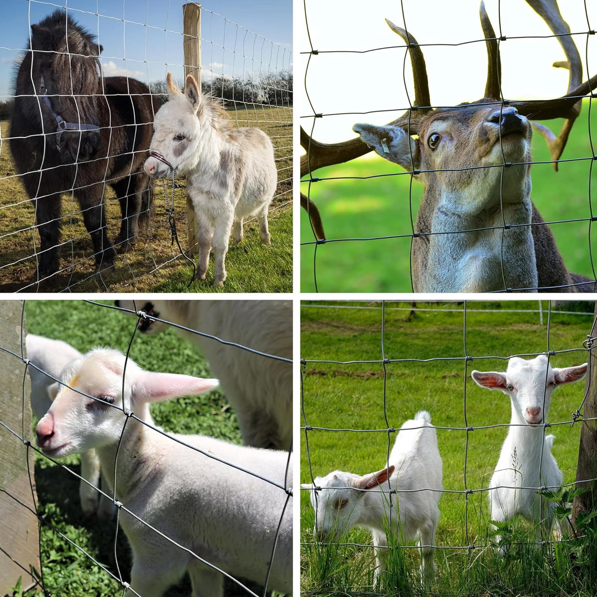 Miniyam 13-Gauge Heavy Zinc Coated Farm Fence – Galvanized Field Wire for Cattle, Deer, Goats, Hogs – Yard Livestock & Animal Protection (36in x 164ft)