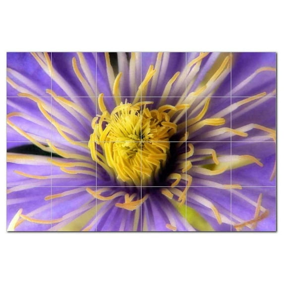 Flower Photo Ceramic Tile Mural Kitchen Backsplash Bathroom Shower, 404805-M64