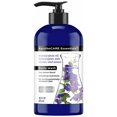 thumbnail image 1 of ApotheCARE Essentials The Detox Blend Gel de baño Eucalipto 16 oz, 1 of 2