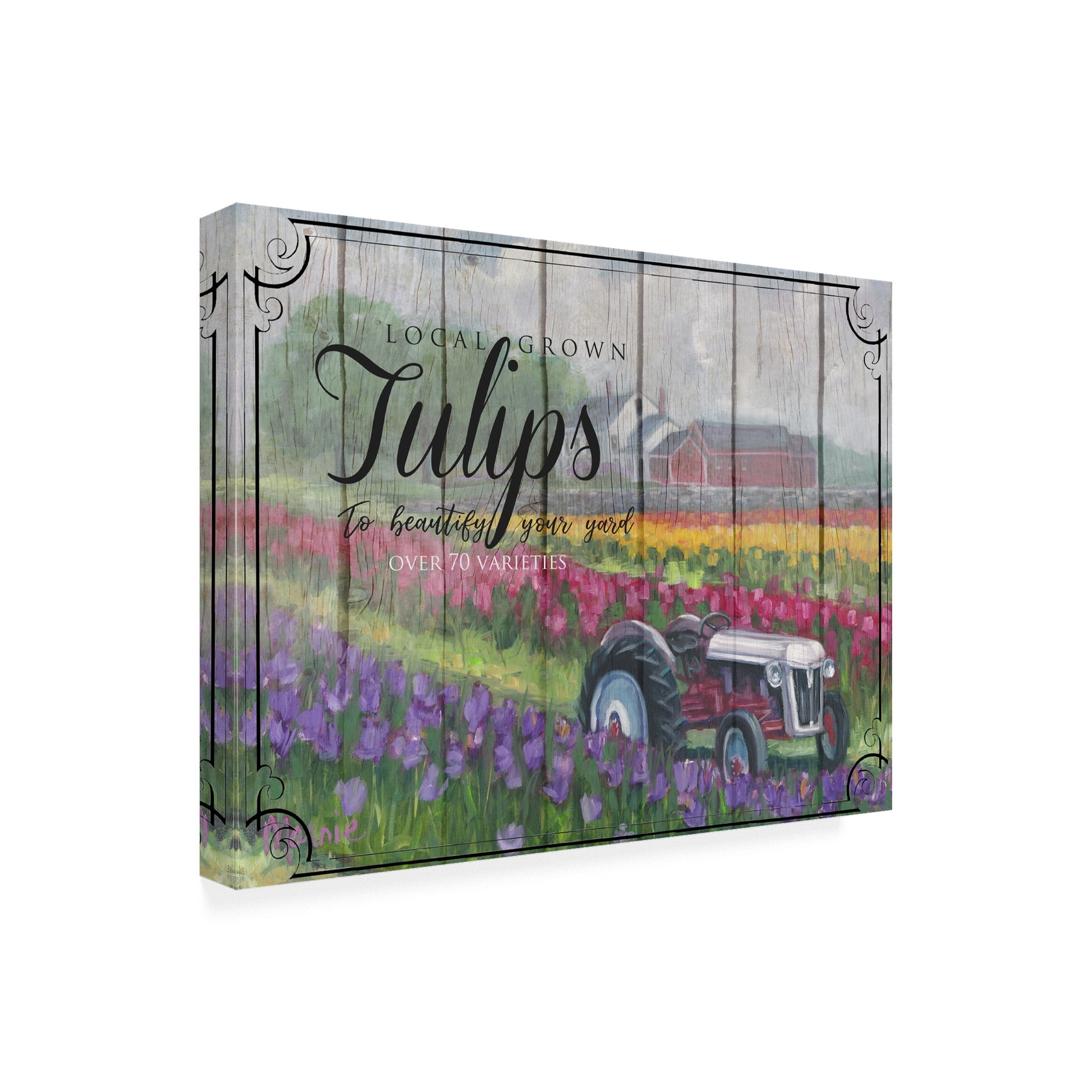Tractoring Through The Tulips' Canvas Art by Marnie Bourque