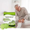 thumbnail image 1 of 12-60pcs Knee Pain Relief Patches, Knee Cervical Plaster Warming Herbal Plaster Wormwood Heat Patches For Back, Neck, Shoulder Pain, 1 of 5