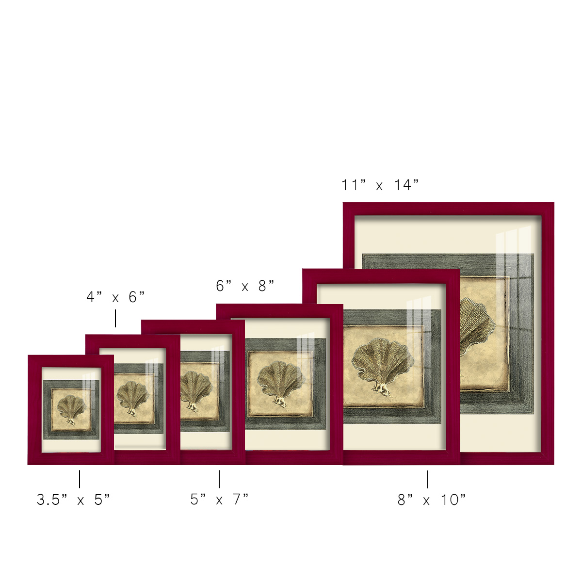 Mini Exotic Coral VI (U) - Framed Print w/glass - Cherry Red