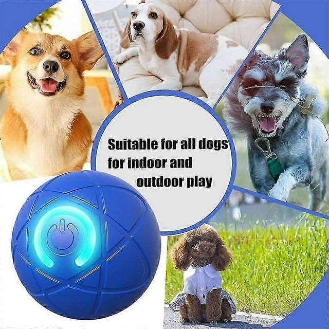 Bouncing Ball Dog Toy, Shaky Ball Toy For Dogs, Automatic Moving Dog Toy Ball