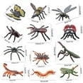 thumbnail image 2 of Elainilye Butterfly Insect Models, 12-Piece Simulation Set for Children's Science Education, Educational Toys for Kids Learning Biology, Gift for School and Home, 2 of 7