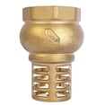 thumbnail image 1 of Válvula de Pie IUSA 1 1/4" Pichancha 100 PSI Válvula Antirretorno para Sistemas de Bombeo, 1 of 7