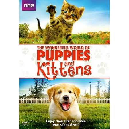 - Wonderful World Of Puppies And Kittens (DVD)