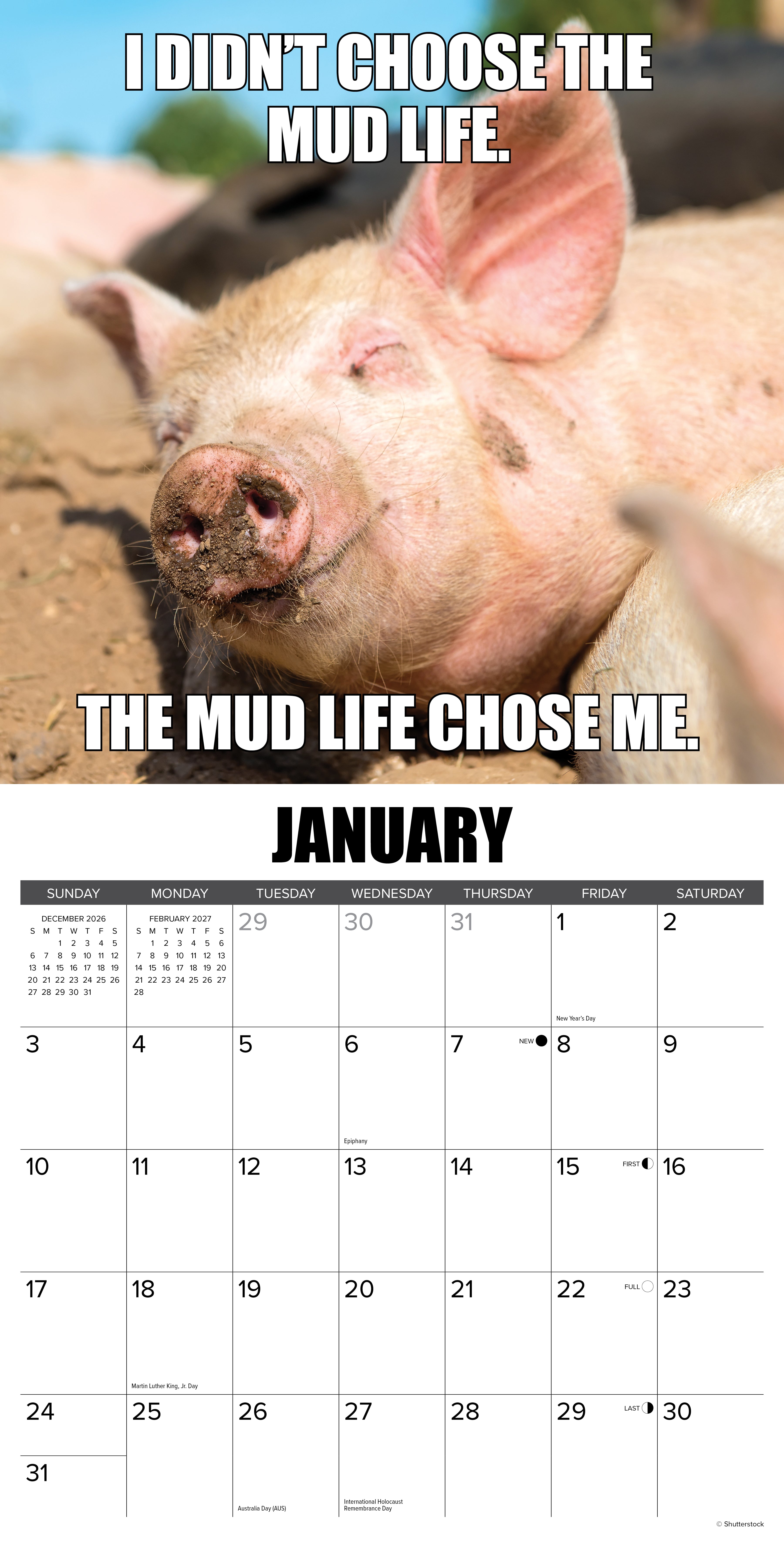 Willow Creek Press, Farm Funnies 2027 Wall Calendar