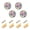 Colorful Palm Tree, variant on JIALIOU Kitchen Cabinet Knobs Round Zinc Drawer Pulls, Seashells and Dots, 4 Pack