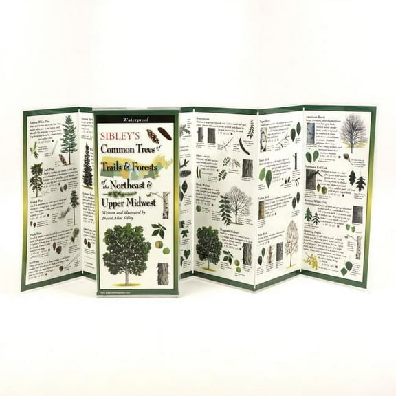 FoldingGuides: Sibley's Trees of Trails and Forests of the Northeast & Upper Midwest (Other)
