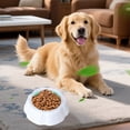 thumbnail image 4 of Cooling Dog Bowl for Summer Heat, Frosty Pet Water Bowl for Dogs Cats, Detachable Freezable Dog Bowl with Non- Base, Keeps Water Cold for Hours, Food Grade Pet Feeding Bowl, 4 of 6