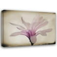 thumbnail image 1 of Vitaly Geyman 24x18 Gallery Wrapped Canvas Wall Art Titled - Floral Dreams II, 1 of 4
