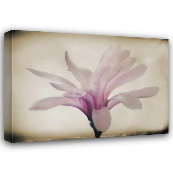 Vitaly Geyman 24x18 Gallery Wrapped Canvas Wall Art Titled - Floral Dreams II