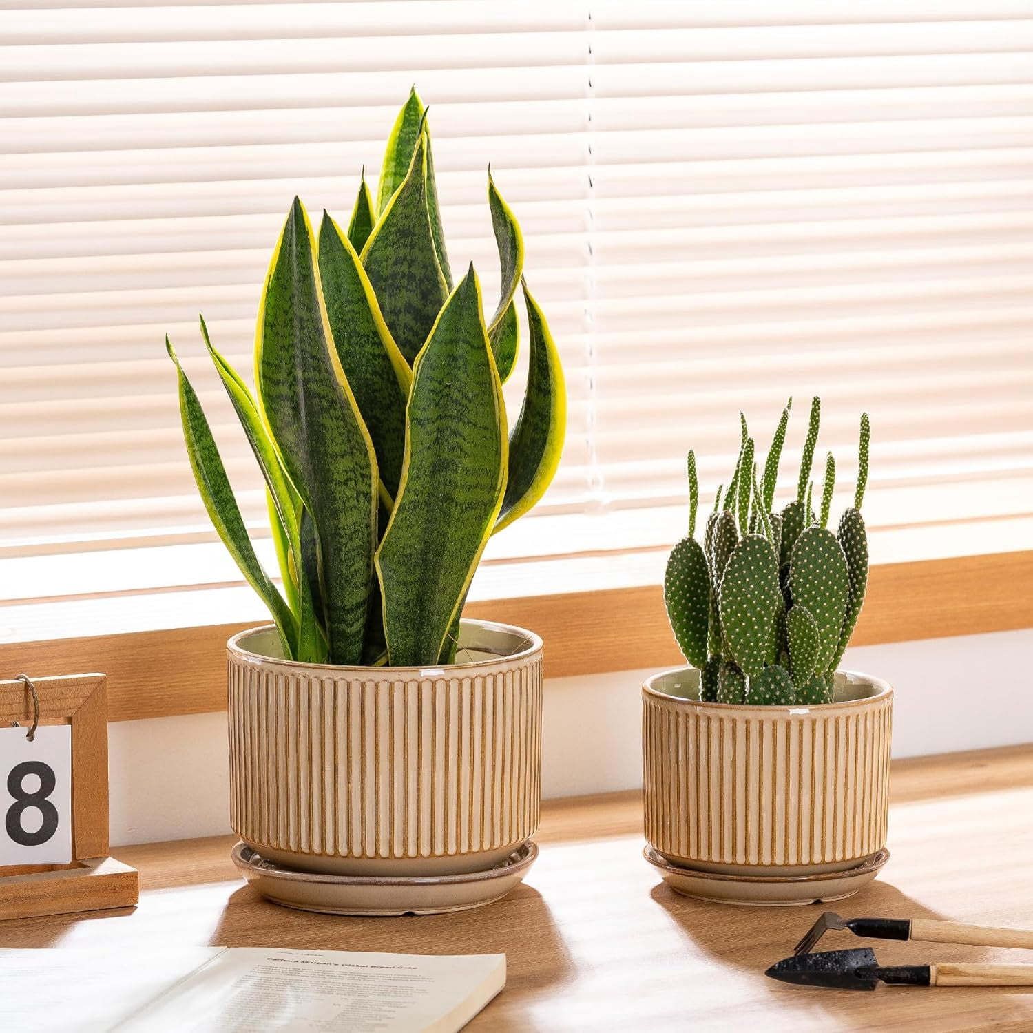 Set of 3 Speckle Gray Ceramic Plant Pots, 4.3+5.5+6.7 Inch with Drainage Hole, Saucer & Hole Pads, Striped Decorative Planter for Indoor Plants and Gardening
