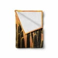 thumbnail image 2 of Cactus Soft Flannel Fleece Blanket, Sunset in the Wild Nature Hot Desert Botanic Mexican Trees Leaves Sand Photo Image, Cozy Plush for Indoor and Outdoor Use, 70" x 90", Multicolor, by Ambesonne, 2 of 6