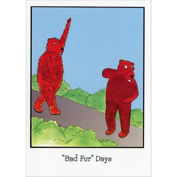 Curiosities Greeting Cards Bad Fur Days Funny / Humorous Friendship Card