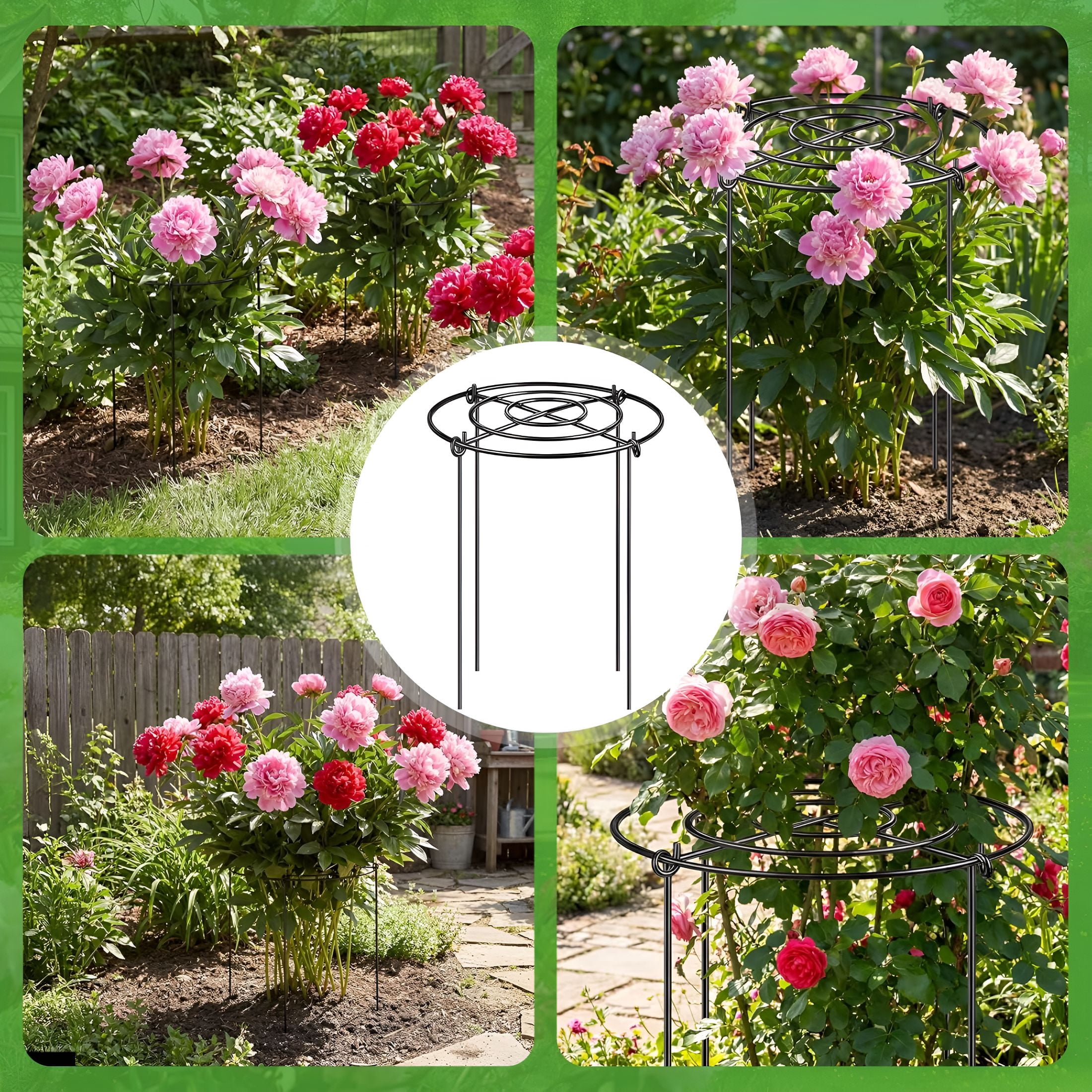 ZHZFKQ Peony Cages and Supports 8 Pack,12X16 Inch Heavy Duty Metal Plant Cage for Outdoor Plants-Grow through Flower Support Rings for Peonies,Roses,Tomatoes&Hydrangeas