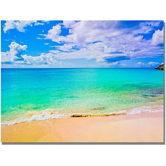 Trademark Art "Maho Beach" Canvas Wall Art by Preston