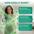 thumbnail image 5 of Adeqauom Chlorophyll & Parsley Supplement,Vegan & Organic Deodorant That Works from The Inside Out ,60 Vegan Capsules, 5 of 6