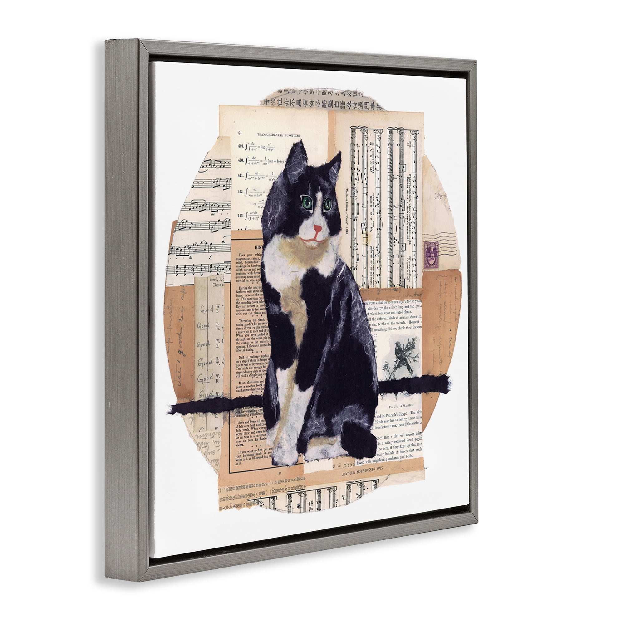 Stupell Industries Tuxedo Cat Collage Animals & Insects Painting Gray Floater Framed Canvas Art Print Wall Art, 18 x 18