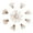 Carbonized - 5", variant on JubileeYarn 5" Double Point Bamboo Knitting Needles Set | 6 Sizes: 2mm(US0)-3.25mm(US3) | 5 Needles/Size | Carbonized Brown