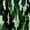 Sage Mint Black, variant on Castle Fairy Abstract Brush Camo Twin Quilt Set 2 Pieces,Watercolor Irregular Patch Twin Coverlet Set,Sage Mint Black,1 Bedspread and 1 Pillowcase