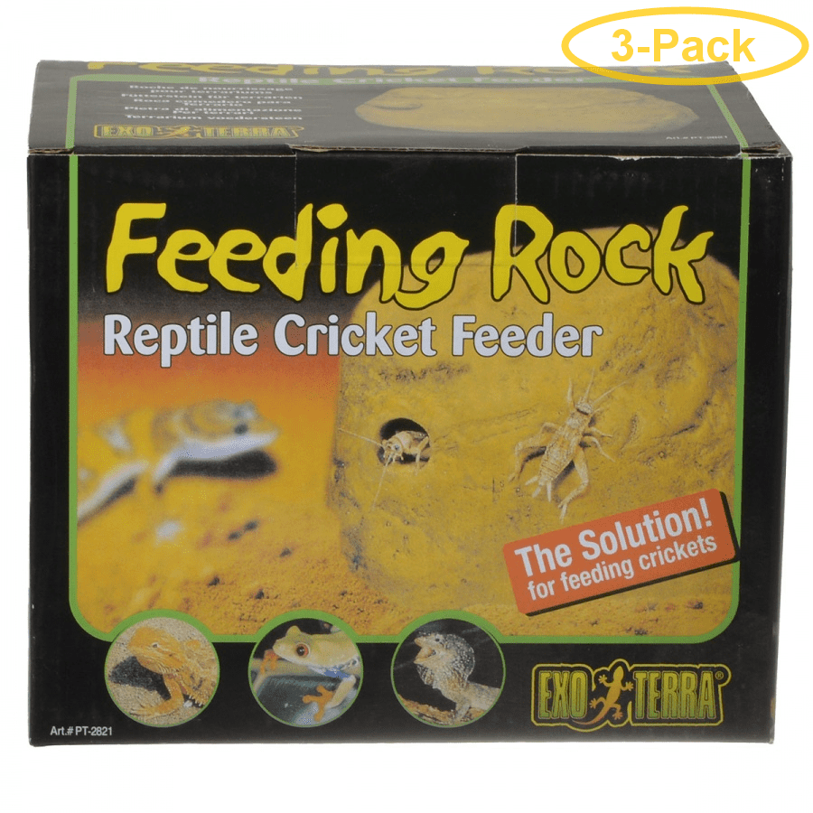 ExoTerra Feeding Rock Reptile Cricket Feeder 1 Pack Pack of 3