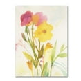 thumbnail image 2 of Trademark Fine Art "Wildflowers Against the Sky" Canvas Art by Sheila Golden, 2 of 4