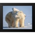thumbnail image 2 of Tsui, Hung 18x15 Black Modern Framed Museum Art Print Titled - Mischievous Little Polar Bear, 2 of 5