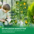 thumbnail image 4 of Slsy Foldable Cucumber Trellis, 2 Pack A-Frame Trellis Outdoor Garden Trellis for Climbing Plants Vegetables Flowers, Steel Plant Support Trellis Plant Climbing Trellis, Black, 4 of 9