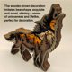 thumbnail image 5 of Decoración De Lobo Marrón De Madera, Animal De Bosque Multiusos, Exquisita Decoración Artesanal De Lobo Para El Hogar Para Sala De Estar, Dormitorio Y Oficina matsuzay HA014117-00, 5 of 7