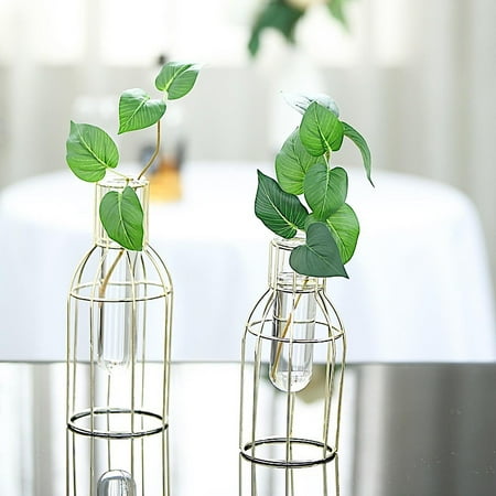 Gold Geometric Vase BalsaCircle 2 Gold Metal Geometric Bottles with Clear Glass Tubes Flower Vase Holders Wedding Party Event Home Centerpieces Supplies ()