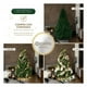 thumbnail image 3 of Árbol de Navidad Plegable Pino Navideño Frondoso, Cedro del Himalaya Esquimal (Verde, 1.80 m), 3 of 6