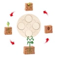 thumbnail image 4 of Jouet Éducatif de Croissance des Plantes en Forme de 3D pour École Enfant, 4 of 4