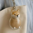 thumbnail image 3 of Pawfect Memories - Clear Dog Hair Keepsake Capsule for Westie, Pomeranian, with Keychain & Necklace Chain, Waterproof Pet Memorial Gift (Includes Collecting Kit), 3 of 11