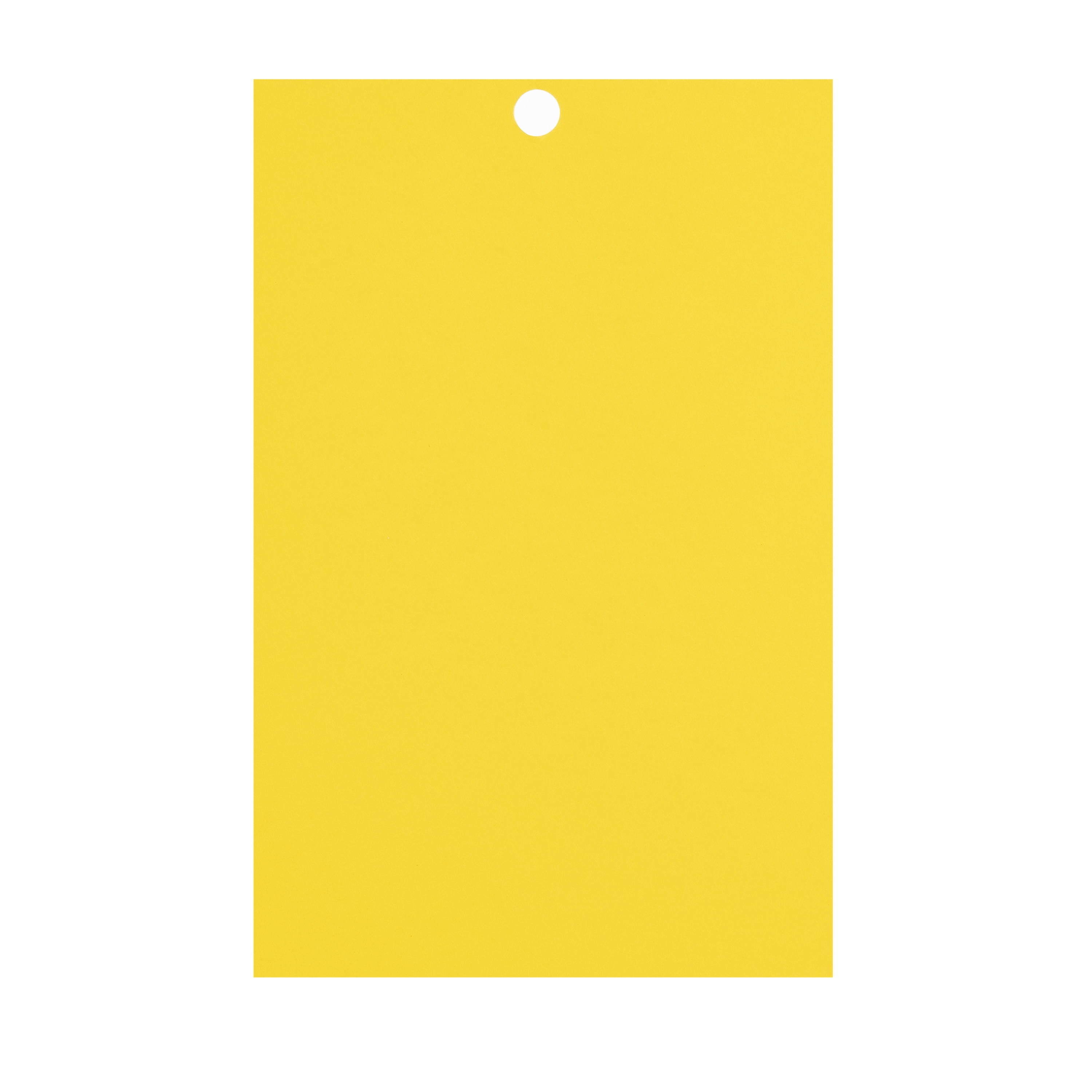 Recollections Primary 4.5" x 7" Cardstock Paper, 12 Packs: 100 ct. (1,200 total)
