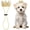 Golden White, variant on Pet Rhinestone King Crown Rhinestone Dog Crown with Adjustable Strap Party Costume Accessories Golden Queen Crowns for Small Dog Cats