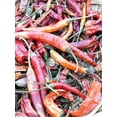thumbnail image 2 of 25 JIMMY NARDELLO PEPPER Sweet Red Italian Capsicum Annuum Vegetable Seeds, 2 of 3