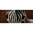 thumbnail image 2 of Grey, Jace 14x8 Gold Ornate Wood Framed with Double Matting Museum Art Print Titled - Zebra Eyes, 2 of 4