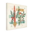 thumbnail image 2 of Veronique Charron 'Holiday Flair V' Canvas Art, 2 of 3