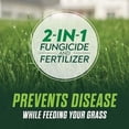 thumbnail image 4 of Scotts Turf Builder Healthy Plus Lawn FoodFL, 2-in-1 Fungicide and Fertilizer, Helps Grass Withstand Summer Stress, 8,000 sq. ft., 27.40 lbs., 4 of 5