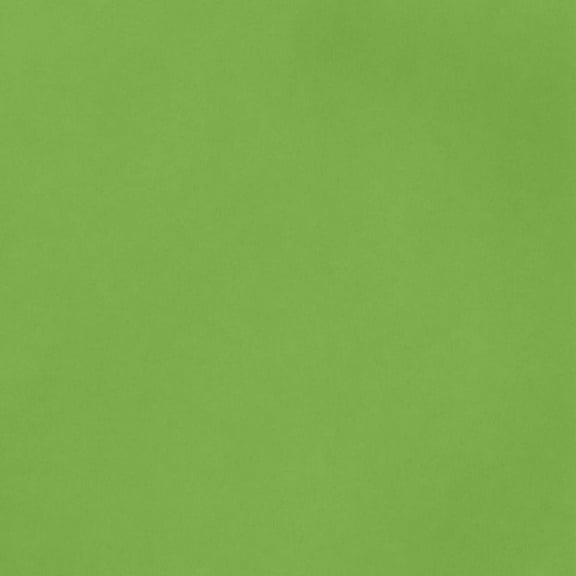 American Crafts Smooth Cardstock 12"X12"-Grass