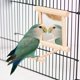 thumbnail image 2 of Paquete de 2 espejos para pájaros con columpio, perchas para pájaros, columpios de madera para loros, guacamayos, agapornis, cacatúas, periquitos, conures, pinzones y cacatúas, 2 of 4