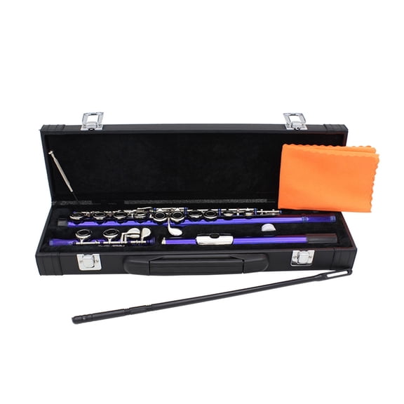 BQBQERT Professional Horizontal Flute With Bag Cloth Stick 16 Hole C Tone Closed Hole Flute Woodwind Instrument