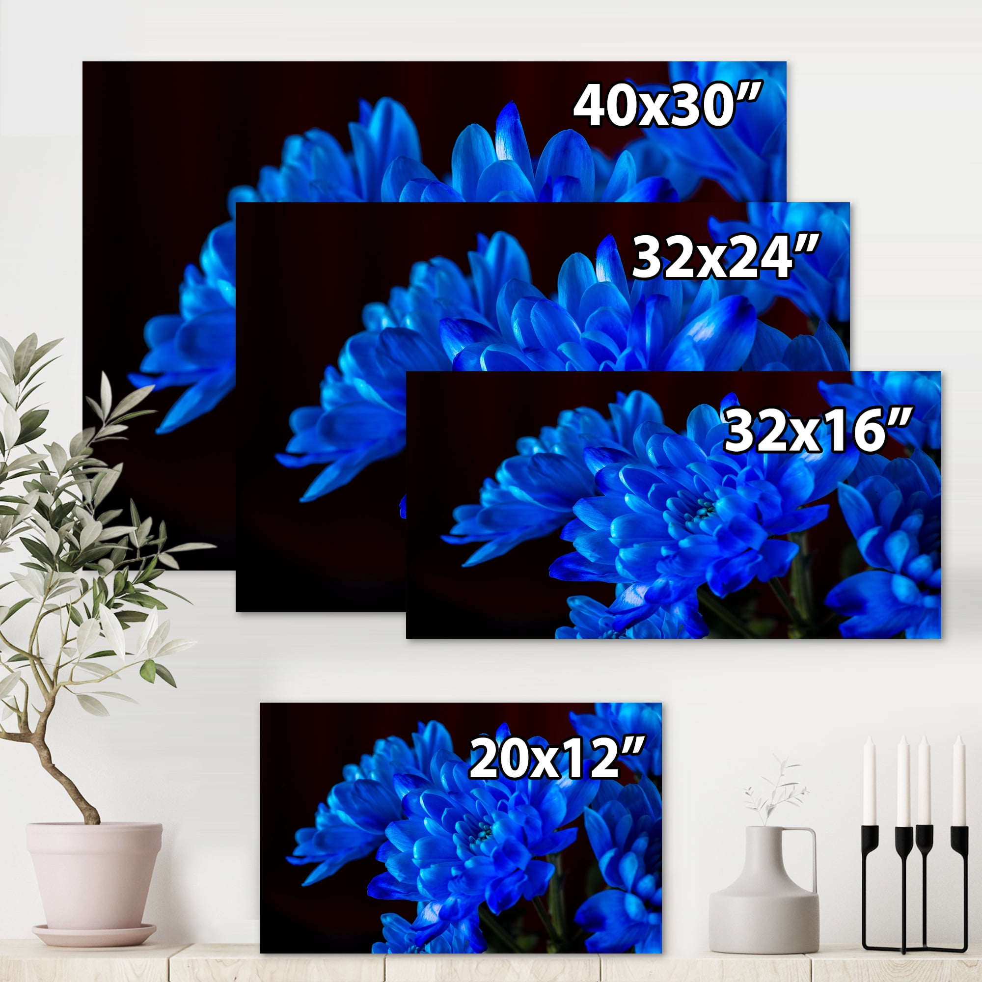 Designart ' Blue Chrysanthemum Flowers On Black Backround ' Traditional Canvas Wall Art Print