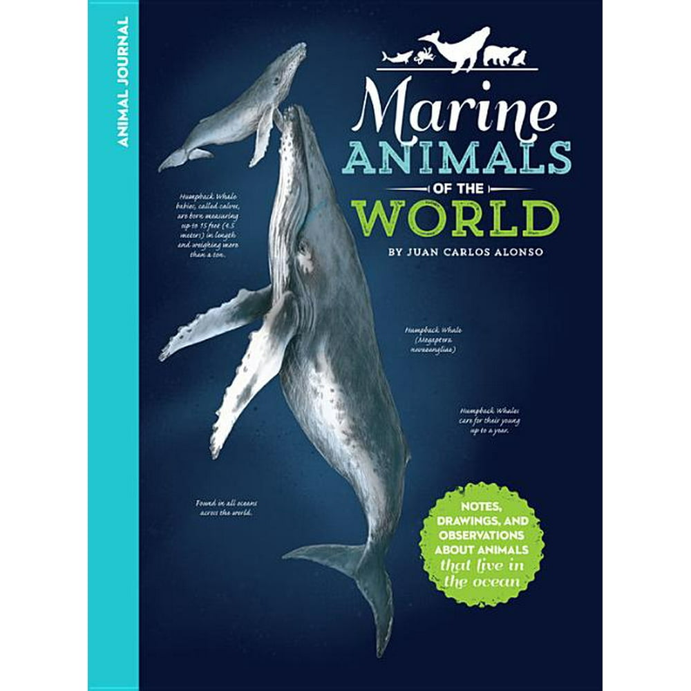 Animal Journal Animal Journal Marine Animals of the World Notes