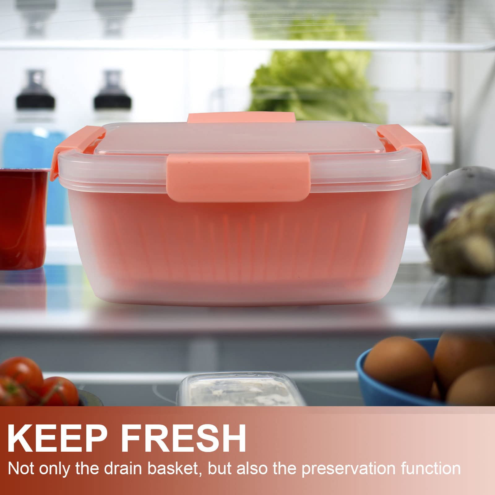 50Oz Berry Keeper Container, Fruit Produce Saver Food Storage Containers  with Re